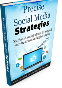 Precise Social Media Strategies for Internet Marketers